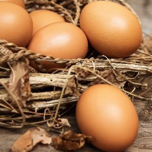 Οι καλύτερες υπερτροφές- Αυγά