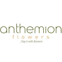 AnthemionFlowers